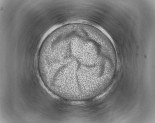 X0000085841053200704132058