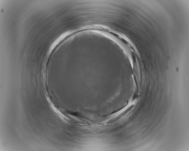 X0000085841054200704132058