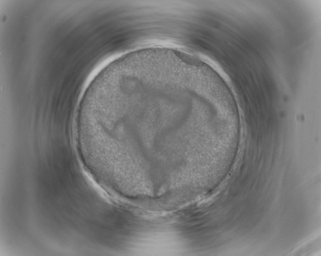 X0000085841056200704132058