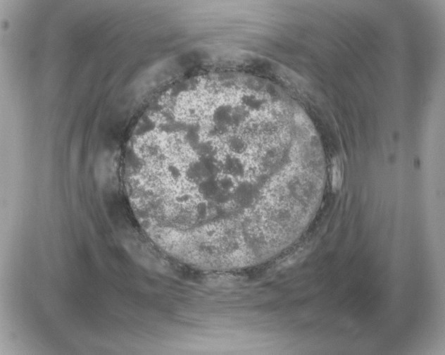 X0000085841059200704132057