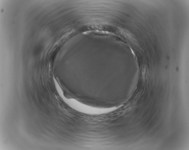 X0000085841060200704132057