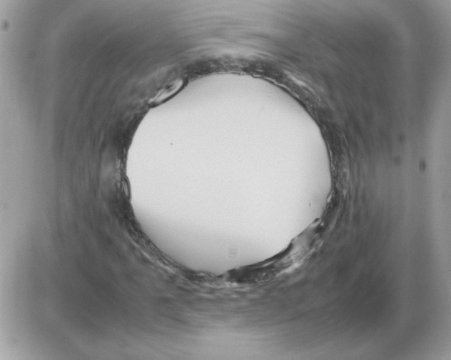 X0000085841061200704132057