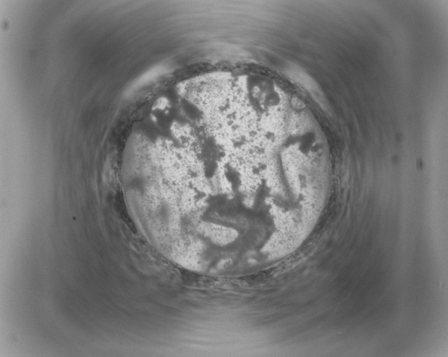 X0000085841063200704132057