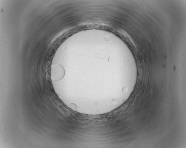 X0000085841064200704132057