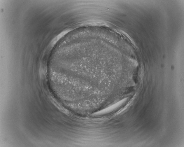 X0000085841065200704132057