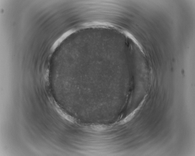 X0000085841066200704132057