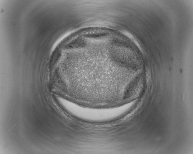 X0000085841069200704132057