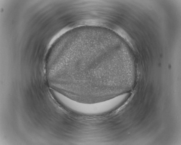 X0000085841070200704132057