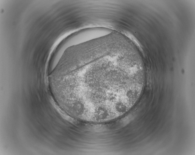 X0000085841072200704132057