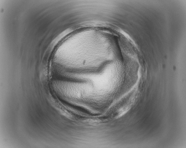 X0000085841073200704132057