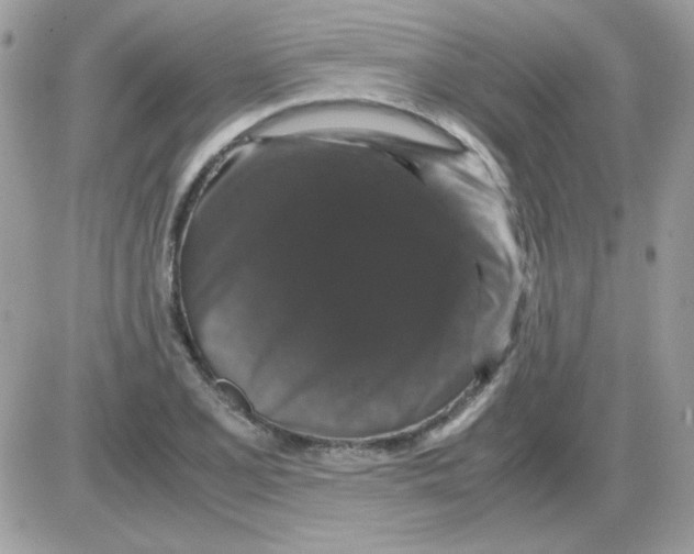 X0000085841077200704132057