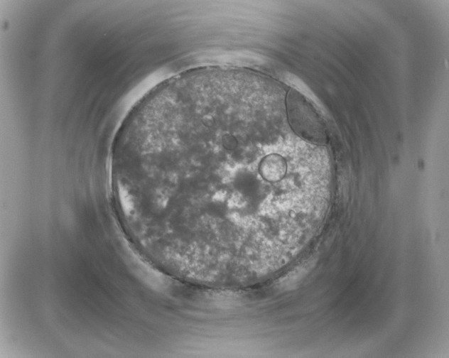 X0000085841079200704132057