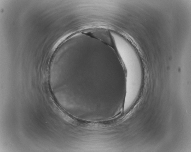 X0000085841081200704132057