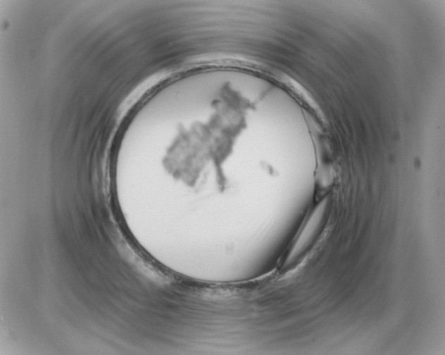 X0000085841082200704132057