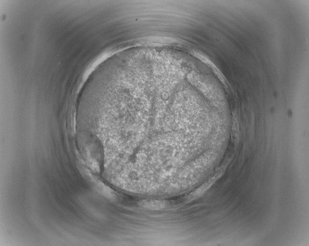 X0000085841083200704132057