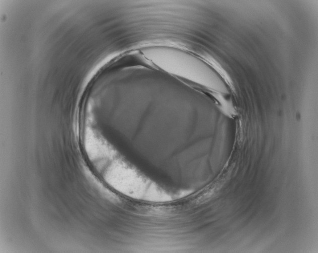 X0000085841084200704132057