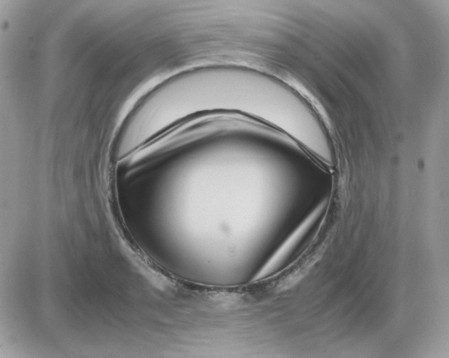 X0000085841085200704132057