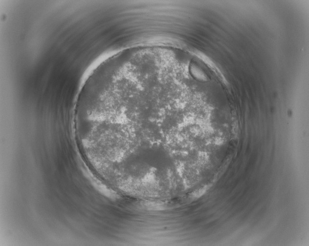 X0000085841086200704132057