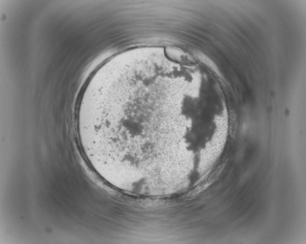 X0000085841087200704132057