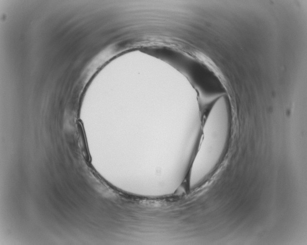 X0000085841089200704132057