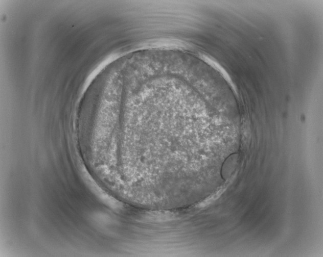 X0000085841091200704132057