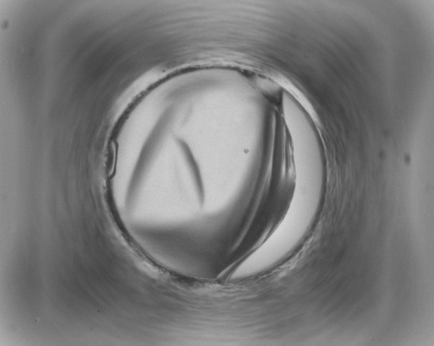 X0000085841093200704132057