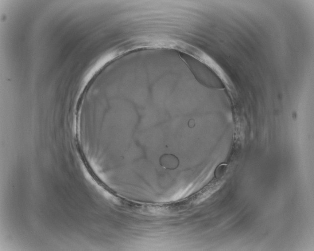 X0000085841095200704132057