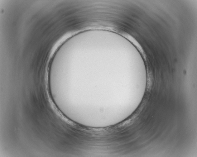 X0000085841096200704132057