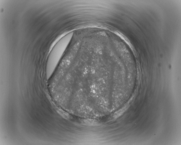 X0000085841097200704132057