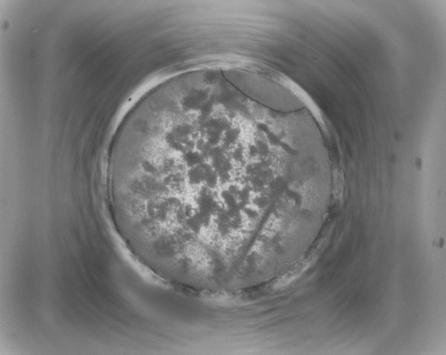 X0000085841099200704132057