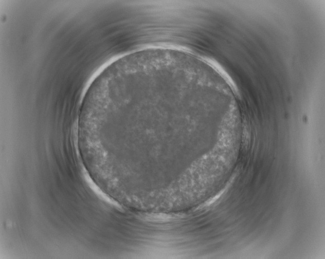 X0000085841100200704132057