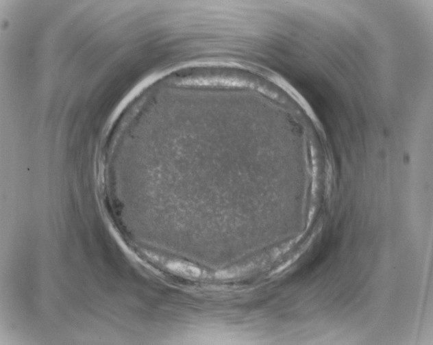 X0000085841101200704132057