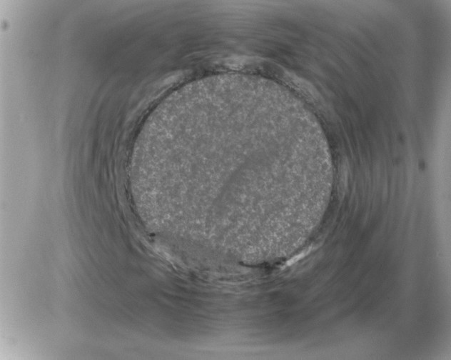 X0000085841105200704132056