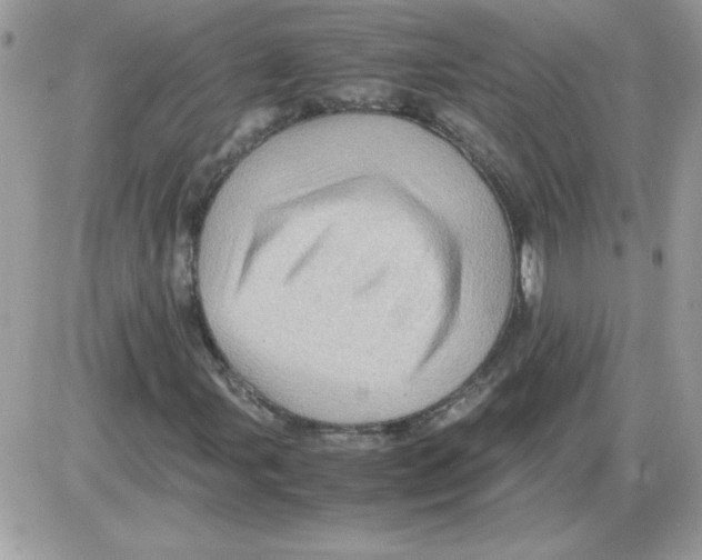 X0000085841107200704132056