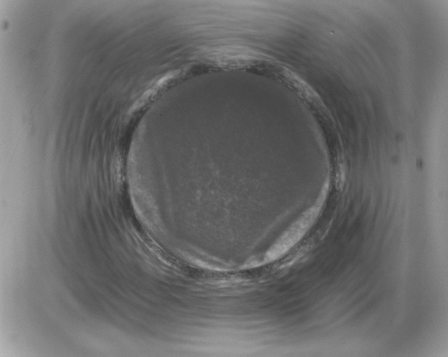 X0000085841108200704132056