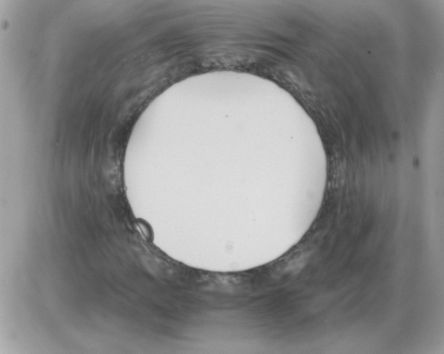 X0000085841109200704132056