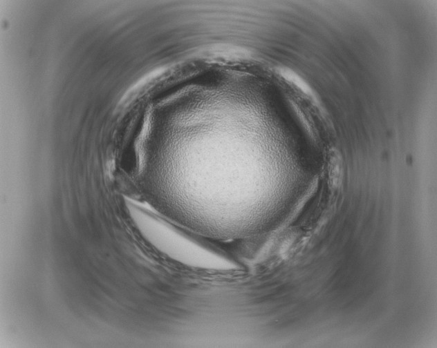 X0000085841112200704132056