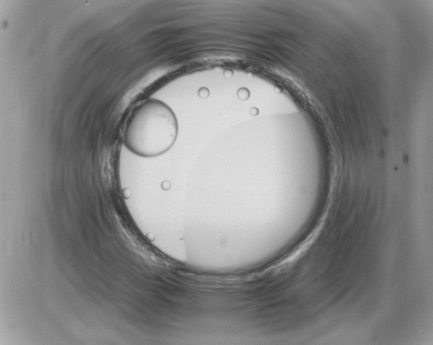 X0000085841113200704132056