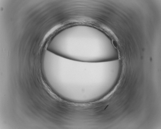 X0000085841114200704132056