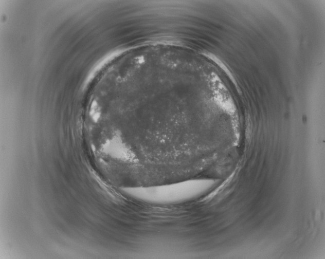 X0000085841115200704132056