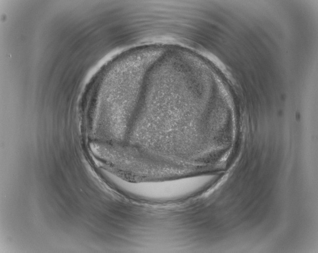 X0000085841118200704132056