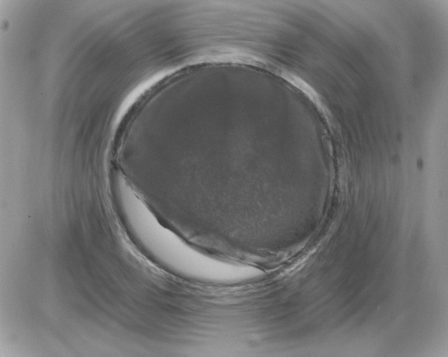 X0000085841120200704132056