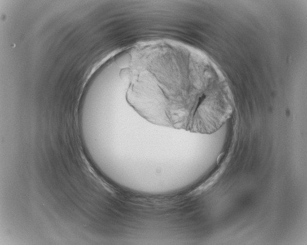 X0000085841121200704132056