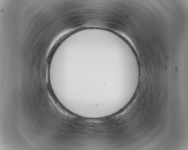 X0000085841123200704132056