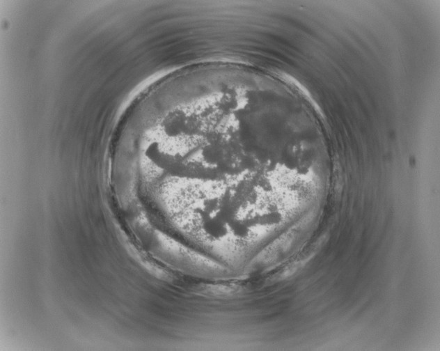 X0000085841125200704132056