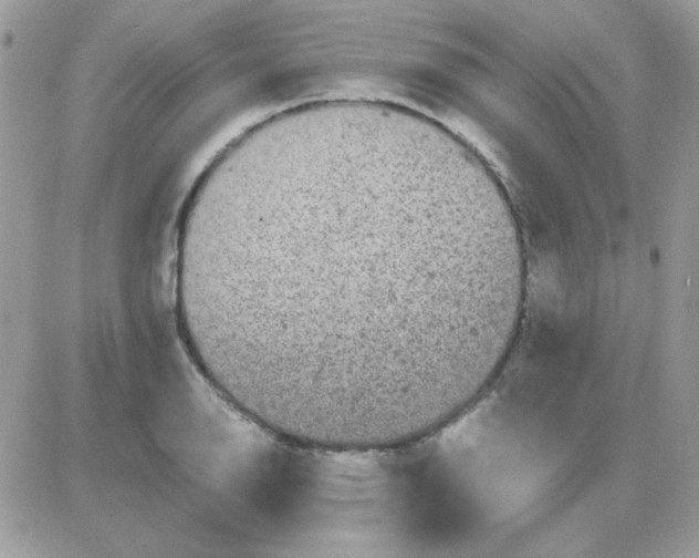 X0000085841126200704132056