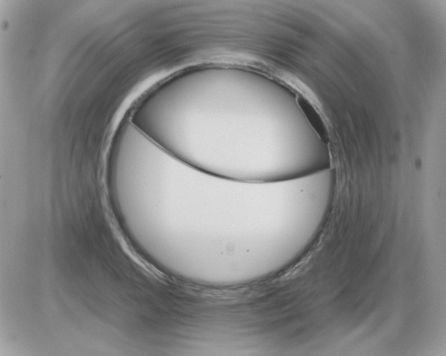 X0000085841128200704132056