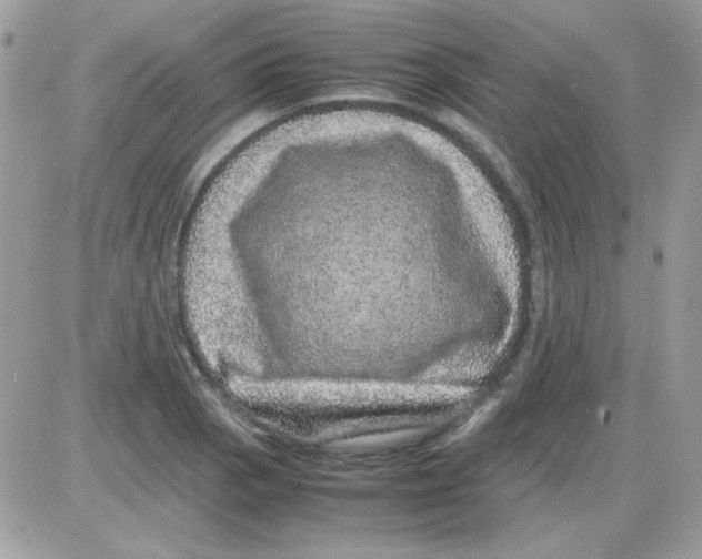 X0000085841129200704132056