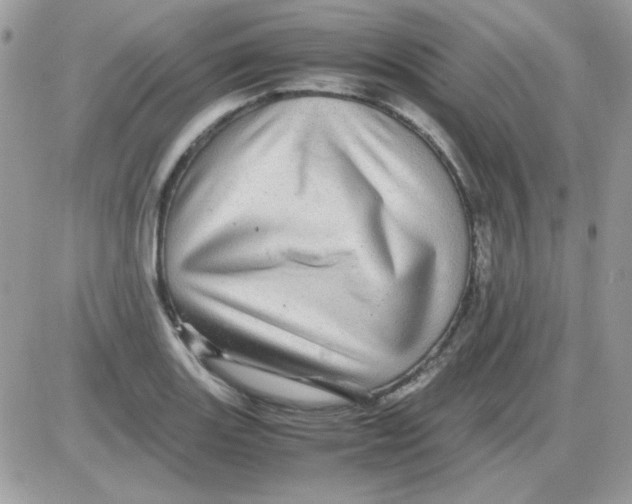 X0000085841131200704132056