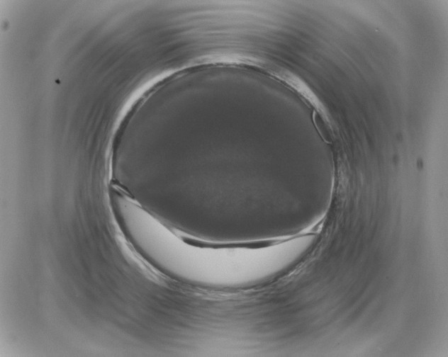 X0000085841132200704132056